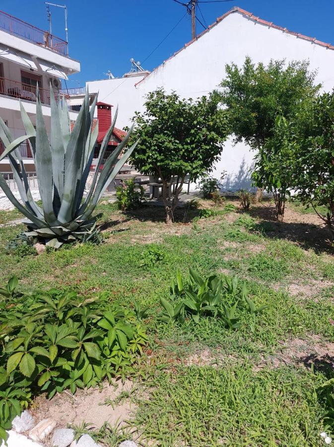 Luminosa Village Apartment Nea Iraklitsa 外观 照片
